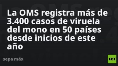 La Oms Ha Registrado Mas De 3400 Casos De Viruela