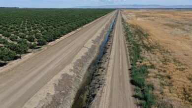 1668793371 Los Valles Paleoliticos Ocultos Podrian Ayudar A California A Sobrevivir